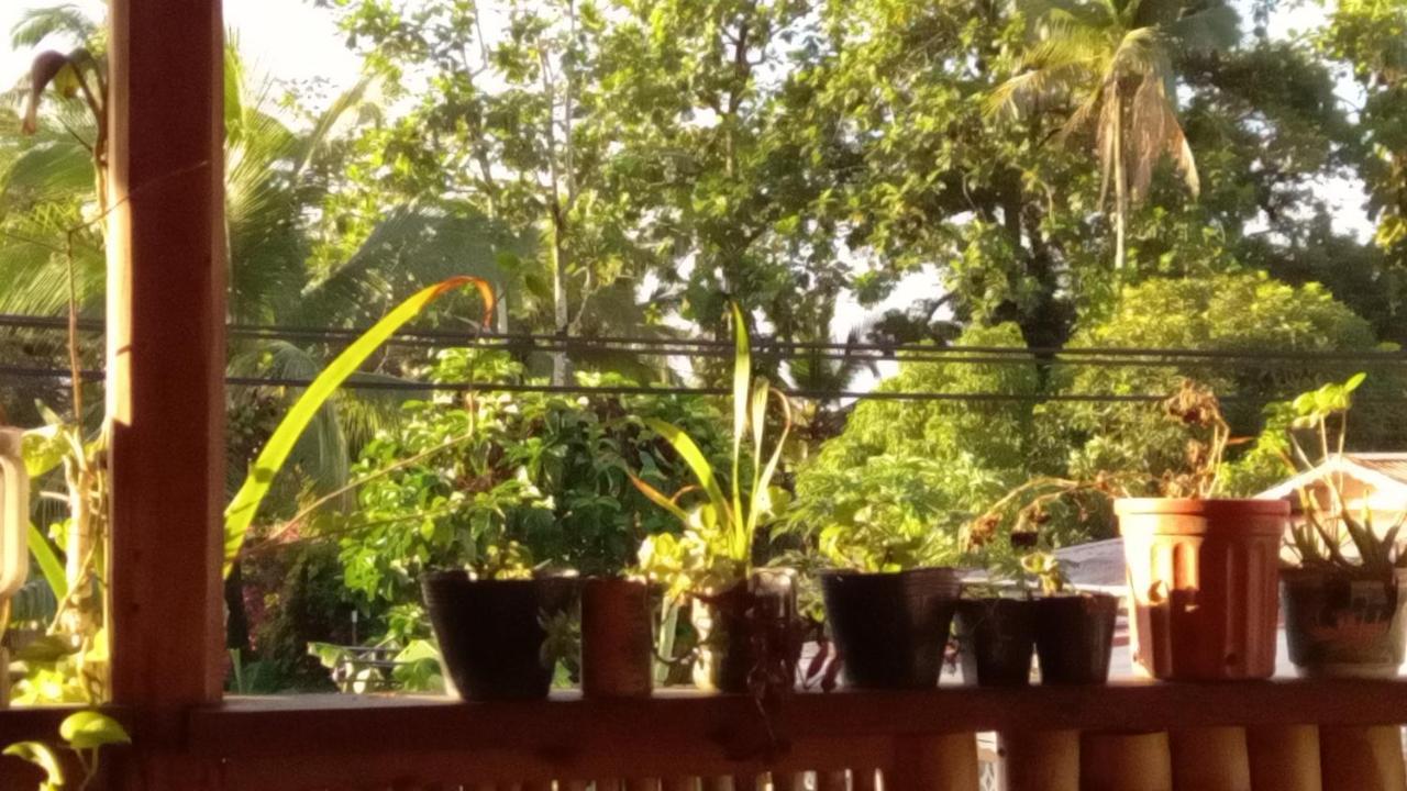 Casa Lumiere Lägenhet Bocas del Toro Exteriör bild