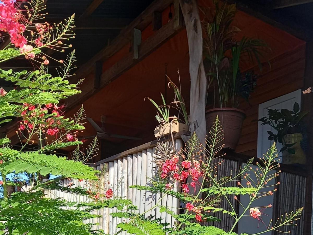 Casa Lumiere Lägenhet Bocas del Toro Exteriör bild
